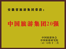 2010年度中国必威国际集团20强
