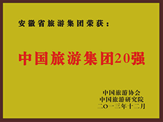 2013年度中国必威国际集团20强