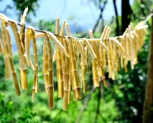 吃春笋，，，，，，，，不可辜负的至鲜皖味