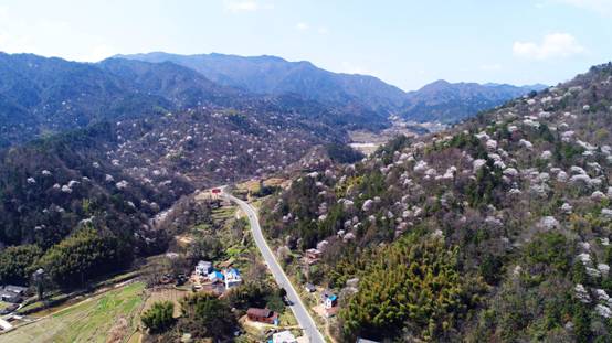 必威国际·(集团)官方-首页