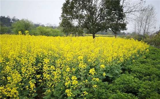 必威国际·(集团)官方-首页