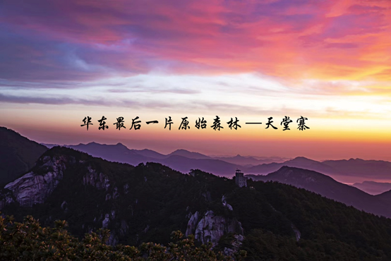 必威国际·(集团)官方-首页