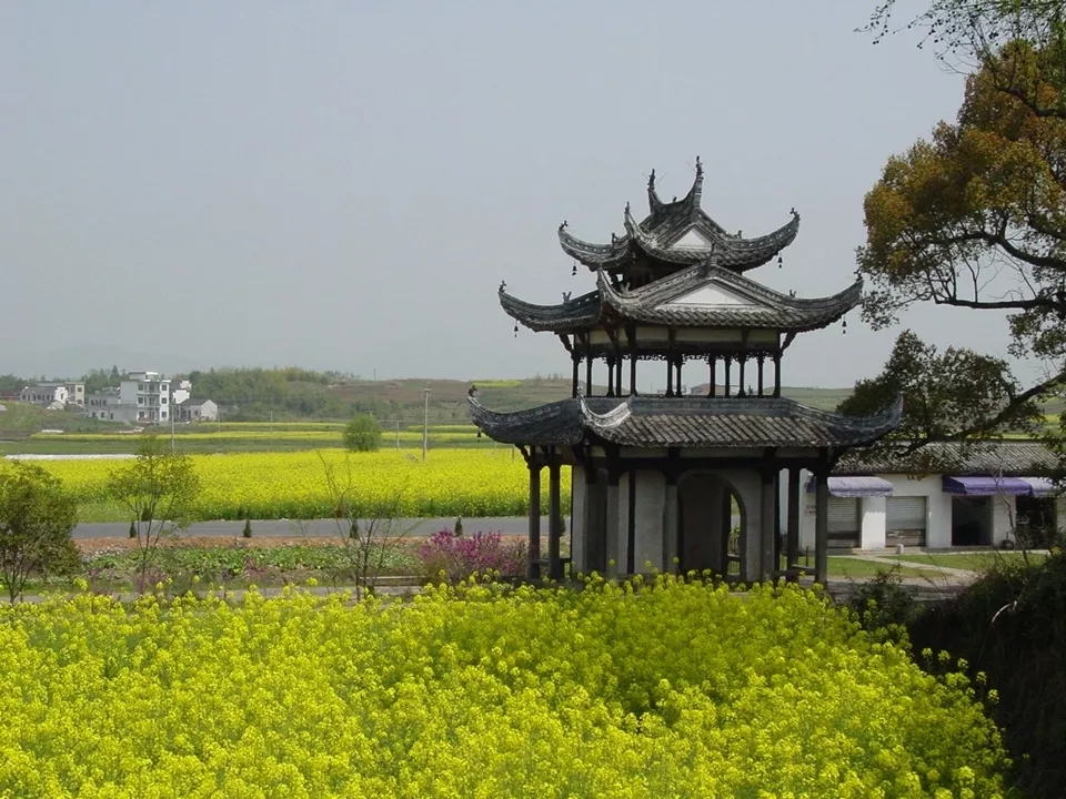 必威国际·(集团)官方-首页
