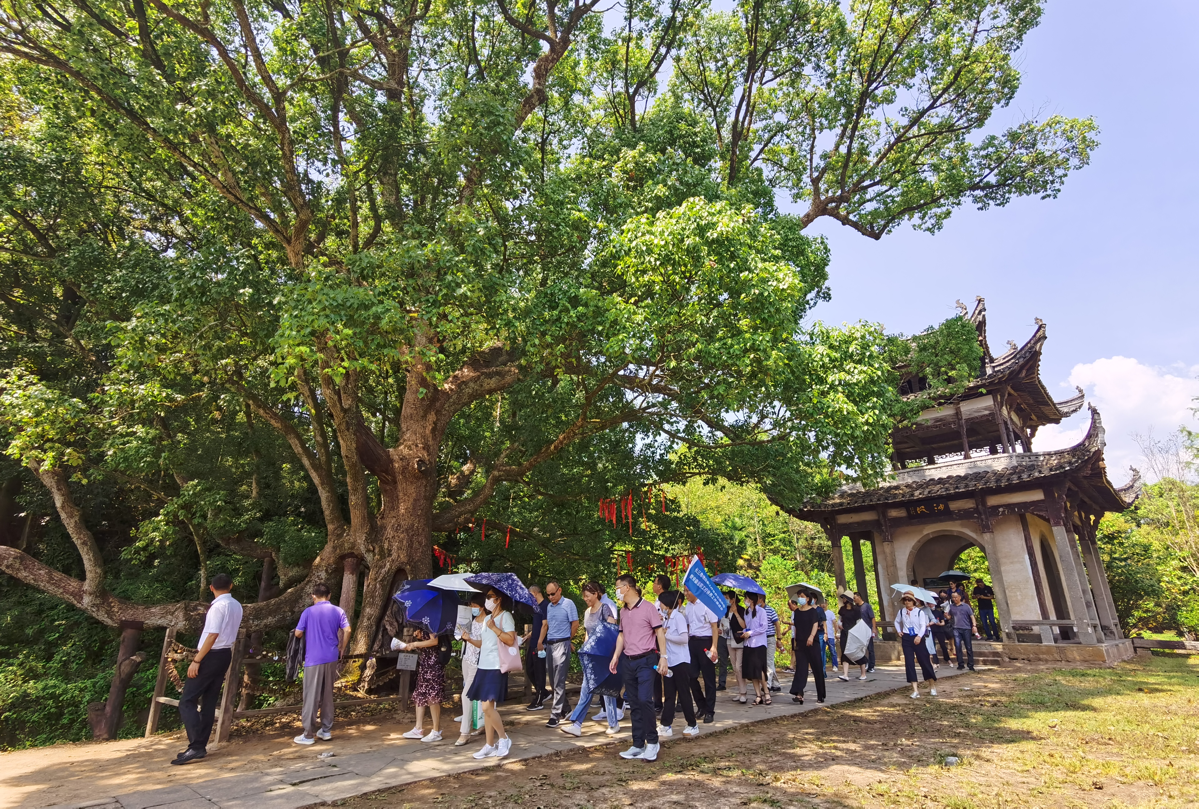必威国际·(集团)官方-首页