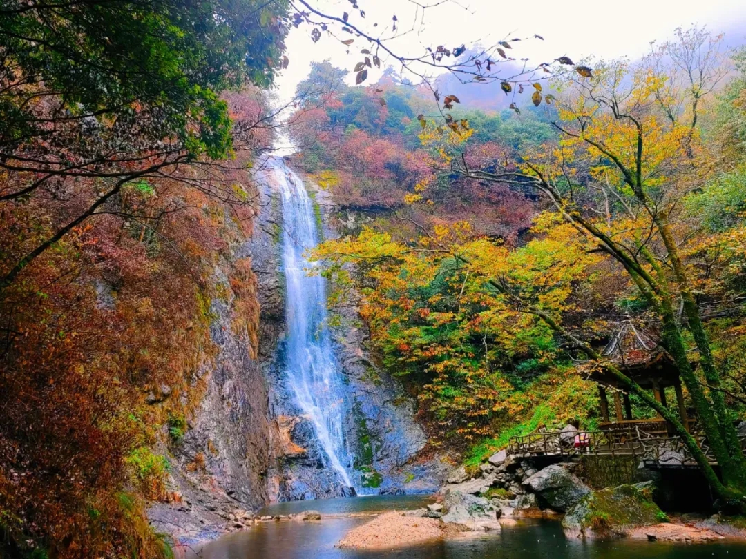 必威国际·(集团)官方-首页