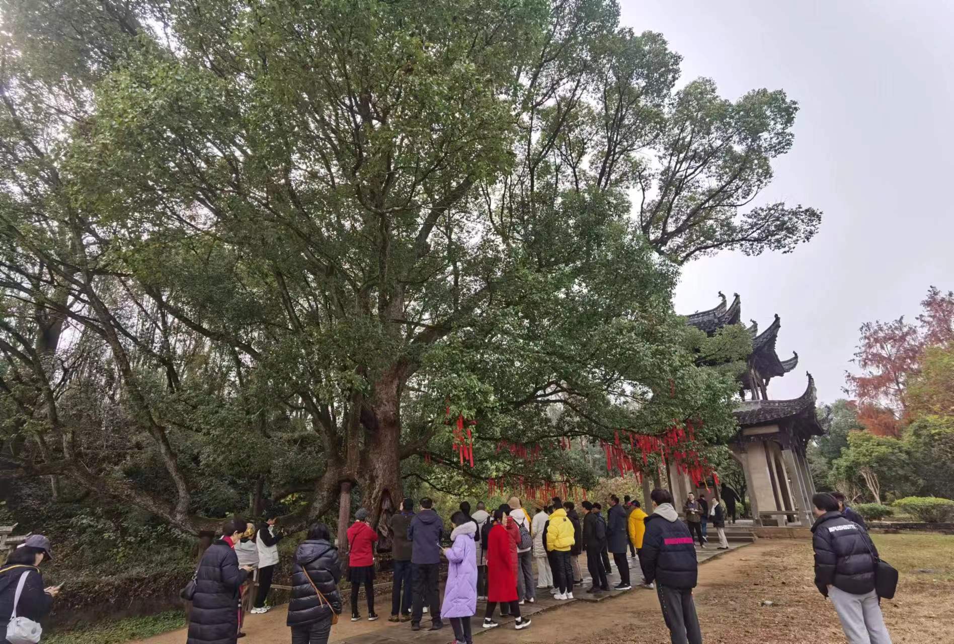 必威国际·(集团)官方-首页