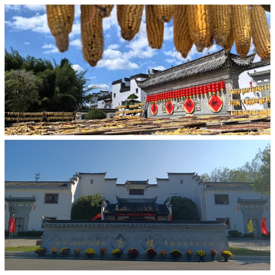 必威国际·(集团)官方-首页